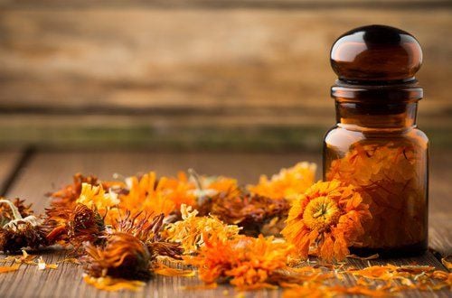 7 Potential Benefits of Calendula Tea and Extract