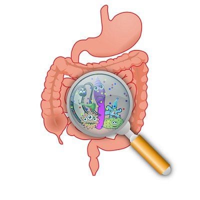 Beware of gastrointestinal fungus infections