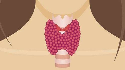 NORMAL LEVELS OF THYROID HORMONES T3, T4