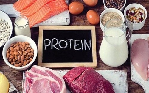 Protein is essential for the development and maintenance of muscles, blood, skin, bones, and other vital tissues and organs in the body.