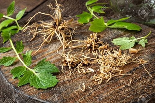 4 Potential Side Effects of Valerian Root