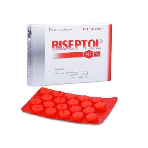 Biseptol: Uses, Dosage, and Side Effects