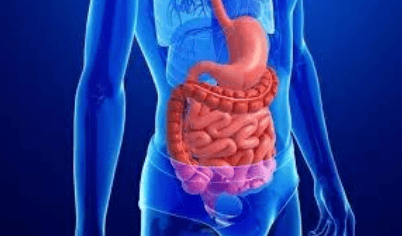 Abatinex helps maintain digestive health by supporting the balance of beneficial gut bacteria.