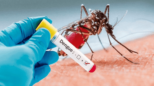 The Recovery Phase After Dengue Fever
